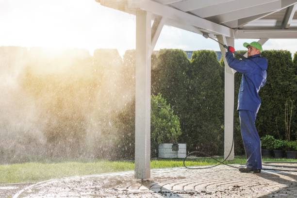 Best Roof Washing  in Fort Hood, TX